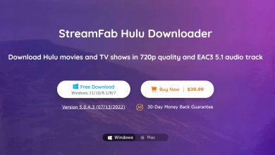 Review of StreamFab Hulu Downloader